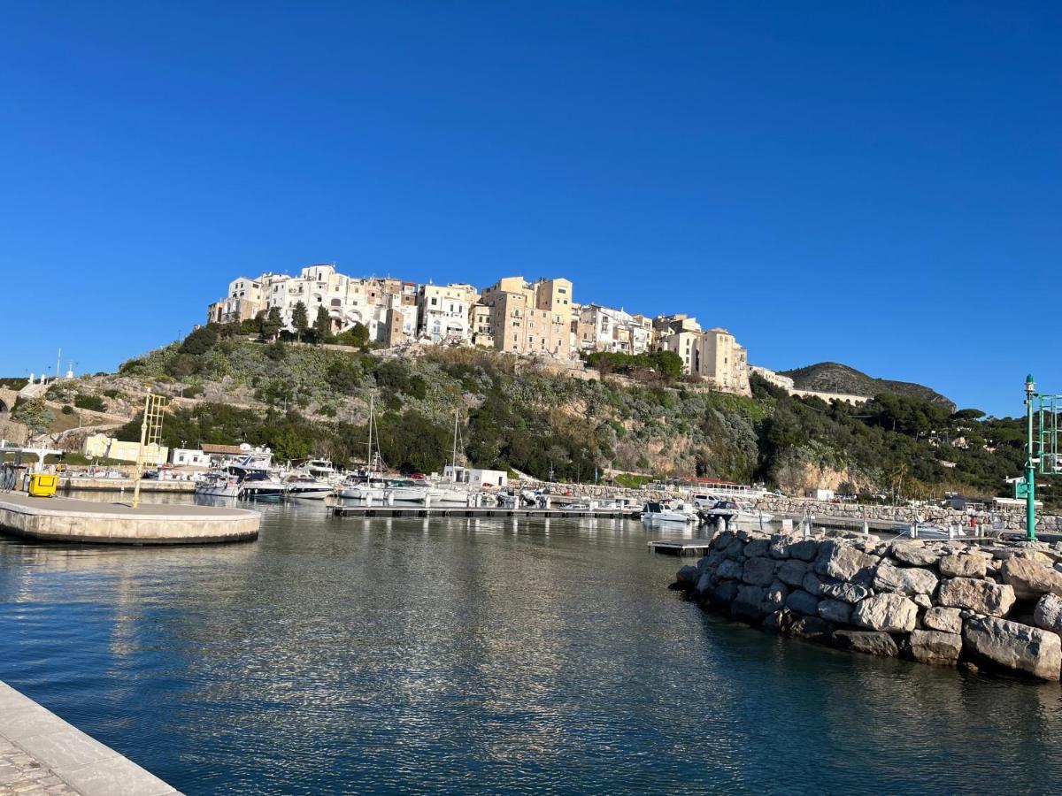 Casa Mediterranea: Appartamento Vista Mare A Soli 200M Dalla Spiaggia スペルロンガ エクステリア 写真